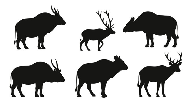 Silhouettes of Various Large Mammals.