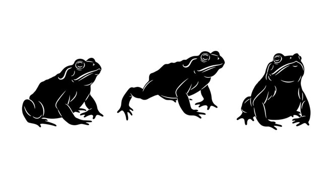Three black frogs in profile 1.