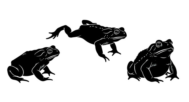 Three Black Frogs Sitting Together.