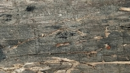 Fototapeta premium Graphic Resources : Close-up of Weathered Rustic Gray Wooden Planks Texture