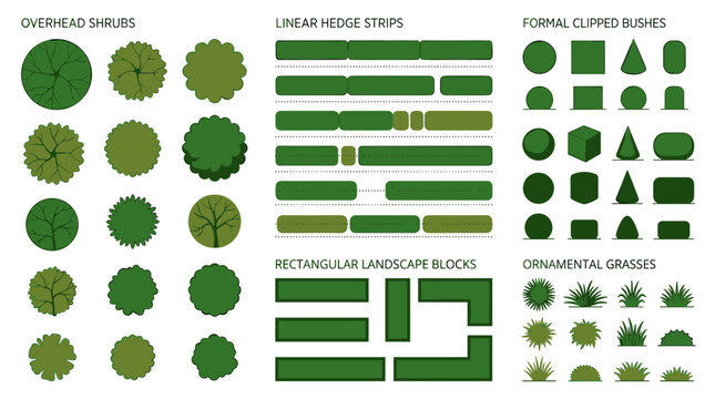 Landscape design vector set, overhead shrubs and linear hedge strips, formal clipped bushes and ornamental grasses, rectangular landscape blocks for garden site planning and architecture