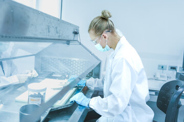 Naklejka premium Lab technician working behind glass sash of fume hood for safety. Scientist in blue gloves managing chemical experiment in ventilated biosafety cabinet securely.