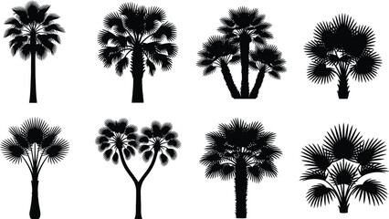 Obraz premium Palm Tree Silhouettes with Diverse Tropical Shapes for Exotic Landscape Illustration, Botanical Design, and Creative Art Projects
