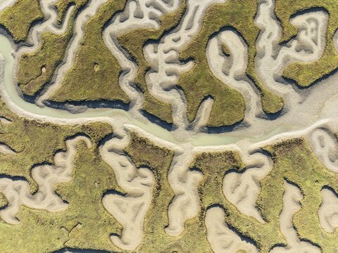 Network of channels and streams at low tide. In the marshland of the Bah&iacute;a de C&aacute;diz Nature Reserve. Aerial view. Drone shot. C&aacute;diz province, Andalusia, Spain