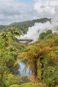 Geysers erupting, Te Puia Thermal Valley, Rotorua, Bay of Plenty, North Island, New Zealand