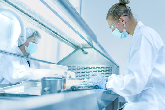 Lab technician working behind glass sash of fume hood for safety. Scientist in blue gloves managing chemical experiment in ventilated biosafety cabinet securely.