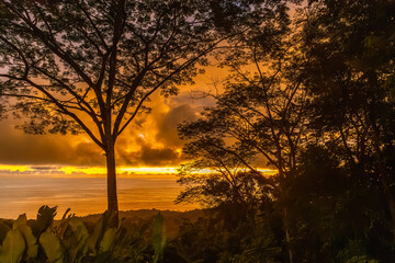 Naklejka premium Wide scenic sunset over the Pacific Ocean framed by dense tropical rainforest trees in Osa Peninsula, Costa Rica