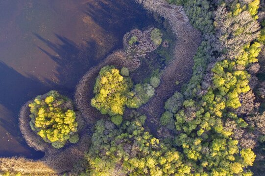 Aerial view of Ahlhorn fish ponds, autumnal, pond, lake, Lower Saxony State Forests, Ahlhorn, Lower Saxony, Germany