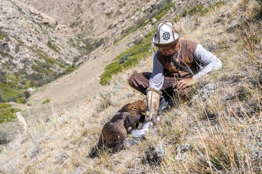 Traditional Kyrgyz eagle hunter with eagle in the mountains, hunting, eagle with captured rabbit, near Bokonbayevo, Issyk Kul region, Kyrgyzstan
