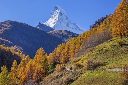 Autumn landscape with hiking trail and Matterhorn 4478m with golden yellow larches, Zermatt, Mattertal, Valais, Switzerland