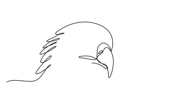 Animated video of an aggressive eagle head. Motion graphic of the eagle head icon facing left.