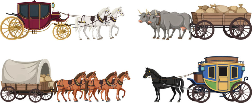 Collection of traditional historical horse drawn carriages wagons and coaches with carriage transport historical livestock transportation traditional