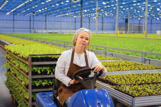 A female worker in a hair net and apron drives a utility vehicle inside a vast greenhouse
