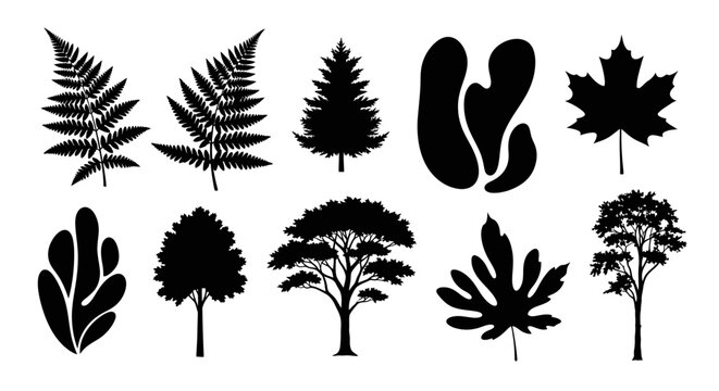 Silhouettes of various trees and leaves on white background with black silhouettes different leaves arranged plain illustration botanical with graphic