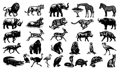 Fototapeta premium Premium African Wildlife Clipart Collection in Dark Monochrome Engraving Style