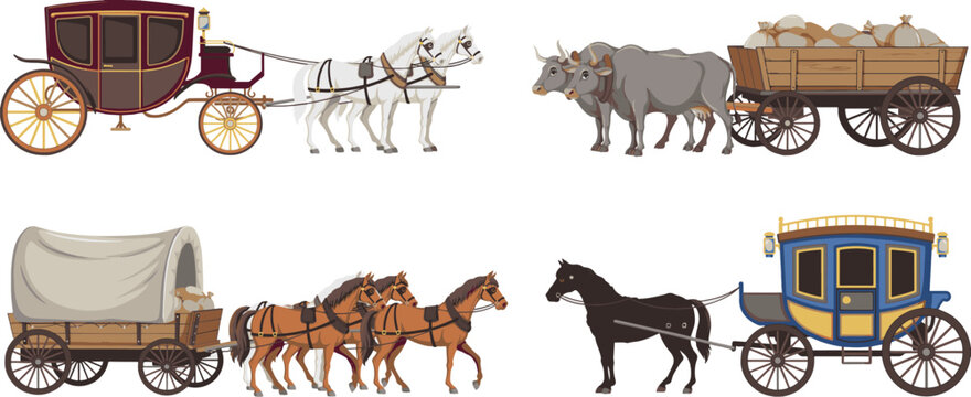 Set of vintage horse drawn carriages and wagons with livestock for transport carriage transport historical livestock transportation traditional heritage