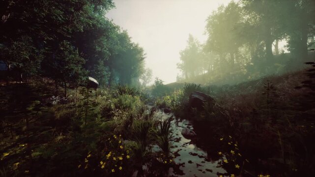 Winding creek path through blooming wildflowers, stonestrewn bank, reflective water, bees and pollinators in sunlight, pastoral mood ideal for outdoor lifestyle