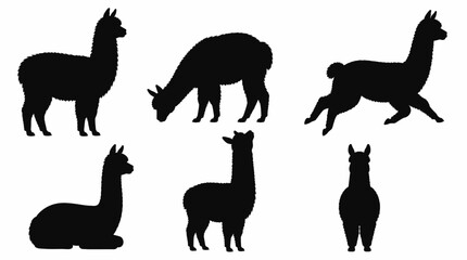 Obraz premium Alpaca silhouette set in various poses, minimalist vector animal pack