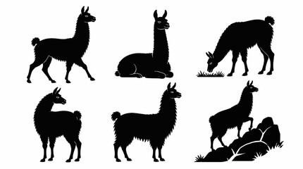 Obraz premium Llama Silhouettes Collection in Various Poses for Animal Design