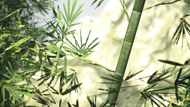 Closeup bamboo stems bathed in light crisp detail of nodes, fibers and overlapping leaves, pale green and warm tones, natural material inspiration