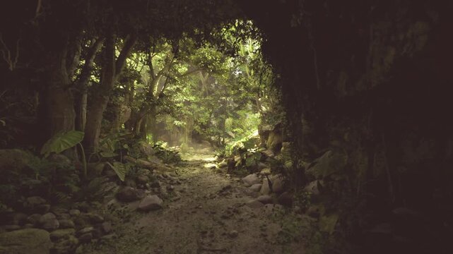 Sunlit jungle tunnel mossy path leading toward bright canopy opening, dense foliage framing narrow trail, scattered rocks and hanging vines, soft dappled light