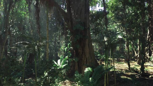 Majestic ancient trunk dominating shaded clearing, massive buttress roots anchoring rich soil, ferns and seedlings at base, dappled sunlight filtering