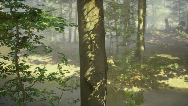 Dawn light filtering through swamp forest, reflective pools and foggy understory evoke quiet resilience, wetland trunks rising from peat and shallow water,