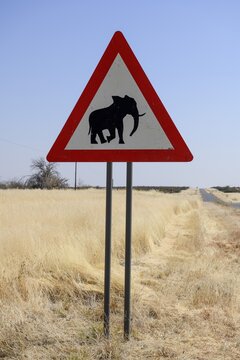 Beware of elephants sign, near Khorixas, Damaraland, Kunene Region, Namibia