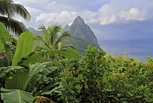 Tropical landscape with the two Pitons, Gros Piton 770m and Petit Piton 743m, Soufriere, St. Lucia, Lesser Antilles, West Indies, Caribbean Islands