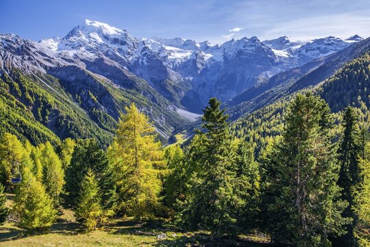Panorama of the valley with Ortler 3905m and Trafoier ice wall 3565m in early autumn, Trafoi, Trafoital, Ortler Alps, Province of Bolzano, South Tyrol, Trentino Alto Adige, Northern Italy, Italy