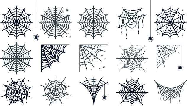 Halloween spider web vector collection featuring spooky cobwebs, hanging spiders, creepy corner webs and decorative gothic web elements for seasonal designs