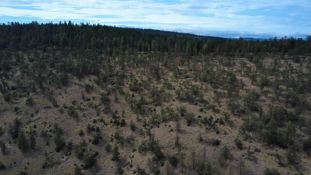 Flight forward over unlevel ground sparsely covered in timber in rural Oregon on Hwy 44