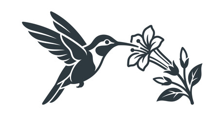 Fototapeta premium Hummingbird drinking from a flower.