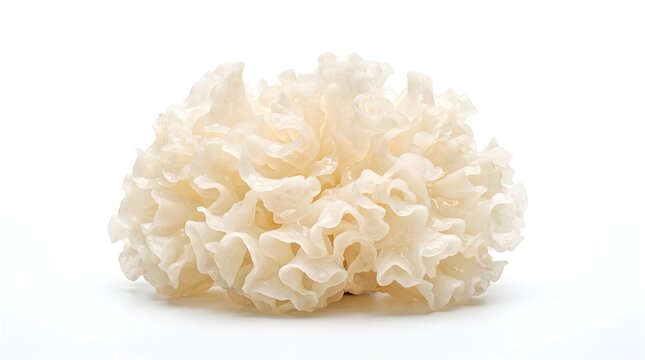 Fresh Tremella Mushroom Isolated on White Background, White Fungus with Translucent Gelatinous Folds