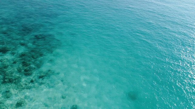 Crystal Clear Turquoise Ocean Water Surface with Underwater Reef Texture