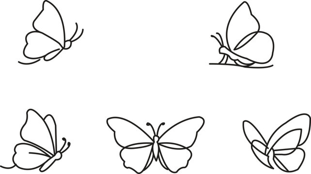 Professional monoline vector set featuring butterfly in flying