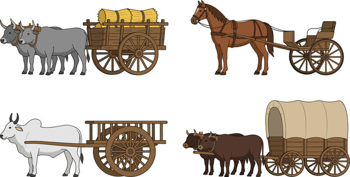 Vintage animal drawn carriage and cart set featuring horse buggy bullock oxen carts carrying hay straw bale and traditional covered wagon vectors