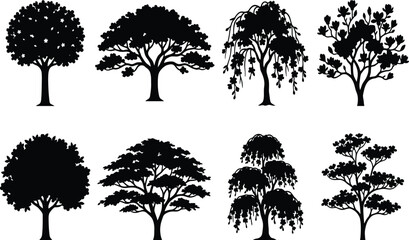 Fototapeta premium Ornamental Tree Silhouette Icon Set Collection with Flowering and Decorative Garden Trees