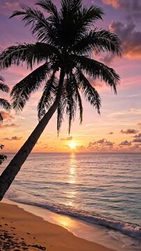 Tropical Beach Sunset with Leaning Palm Tree - A stunning view of a tropical beach at sunset, with a lone palm tree leaning over the sand.
