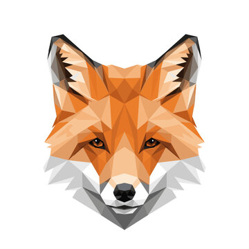 Geometric low poly red fox head art