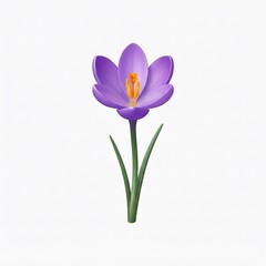 Fototapeta premium Purple Crocus Flower in Bloom.