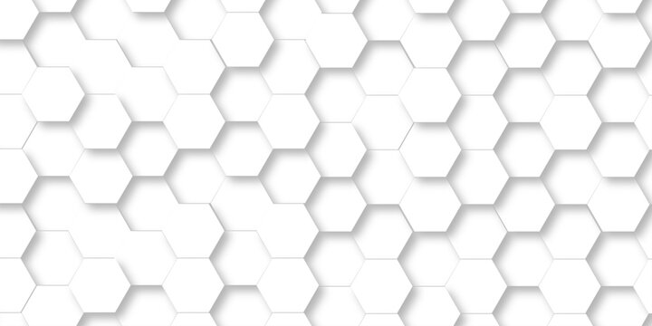 Abstract white grid presentation surface mosaic and tiles minimal tech bee website science element grid overlay white hexagon futuristic technology geometric texture background.