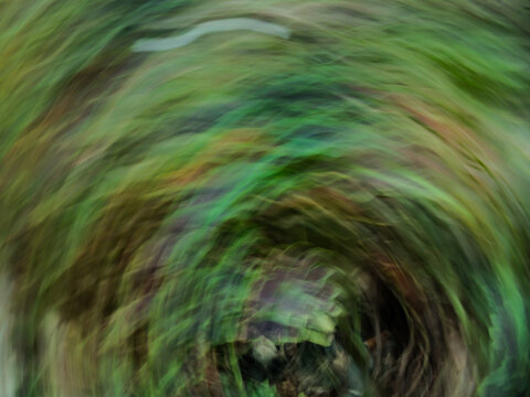 Abstract circular swirling background with green and earth tones. Creative panning photography.