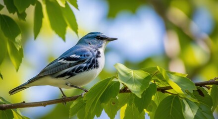 Fototapeta premium A small blue and white bird perched on a tree branch surrounded by green leaves