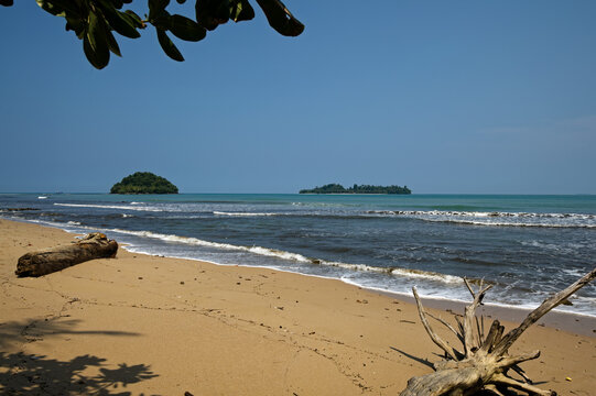Tropical golden sand beach in Indonesia