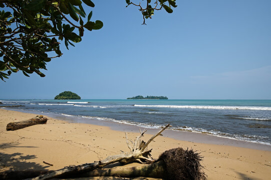 Tropical golden sand beach in Indonesia