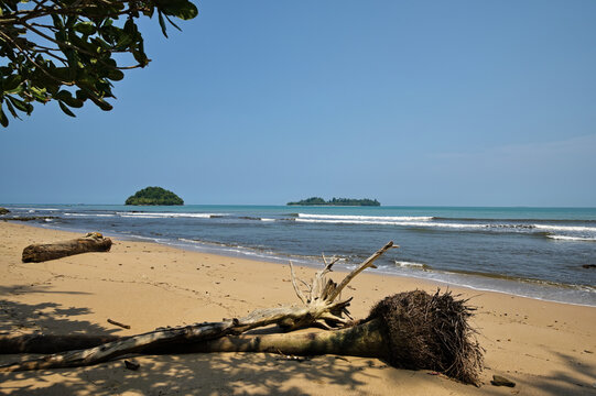 Tropical golden sand beach in Indonesia