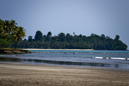 Sandy shore and coastal jungle in Sumatra