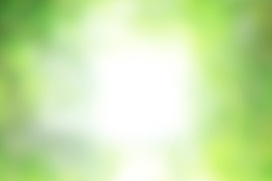 Abstract green bokeh background with bright natural light.