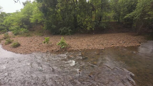 river flowing through forest of sanjay gandhi national park of maharashtra india